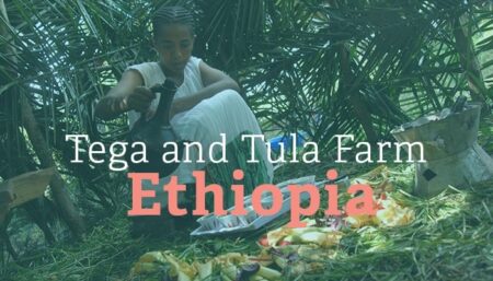 NIEUWE LIJN SINGLE ORIGIN KOFFIES : Ethiopië en Rwanda