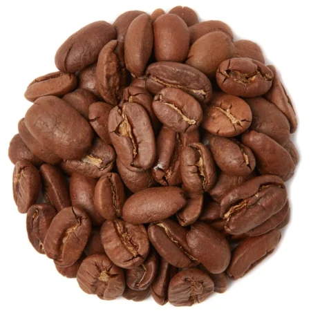 Nicaragua Maragogype (SPECIALTY*)