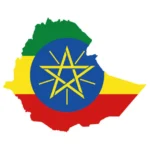 mokupkoffie-limu-ethiopia-2024-612×612